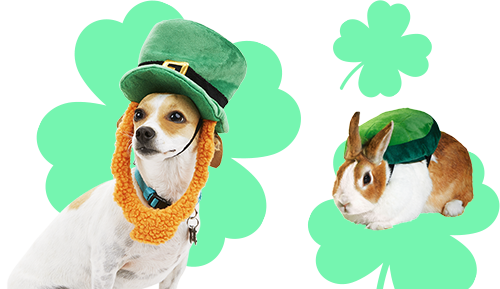 St. Patrick s Day Green Pet Shop Petco