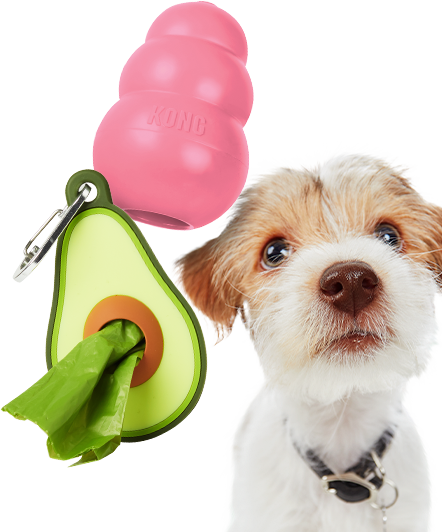 Long Pumpkin Frozen Dog Toys for Teething, Freezable Dog Treat