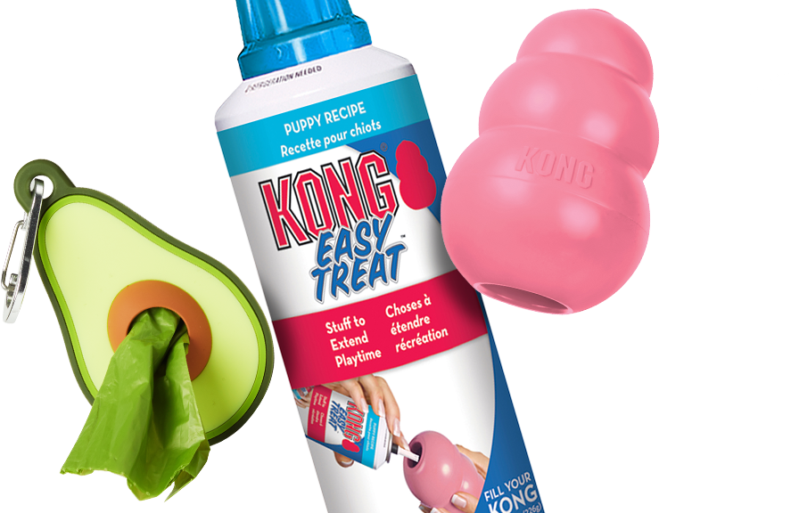 Chew & Teething Toys for Puppies Petco