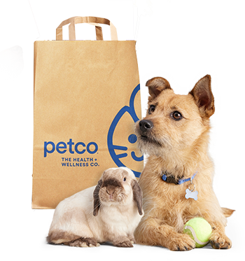 Online pet shop outlet usa