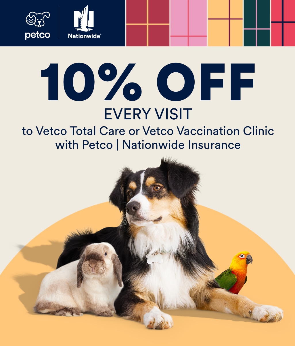 Petco dog fashion clinic