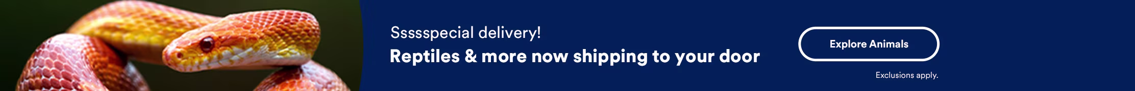 Ssssspecial delivery! Reptiles & more now shipping to your door. Explore Animals. Exclusions apply.