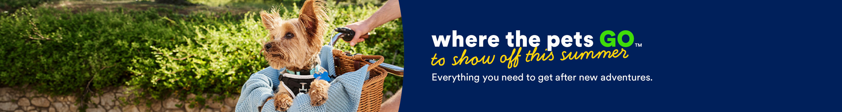 Where the pets go to show off this summer. Everything you need to get after new adventures. Everything you need to get after new adventures.