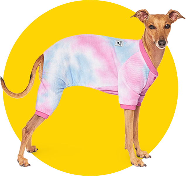 Dog Clothes Puppy & Dog Outfits & Apparel Petco