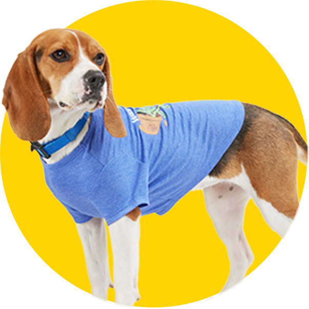 innovatie Met andere bands In de genade van Dog Clothes: Puppy & Dog Outfits & Apparel | Petco