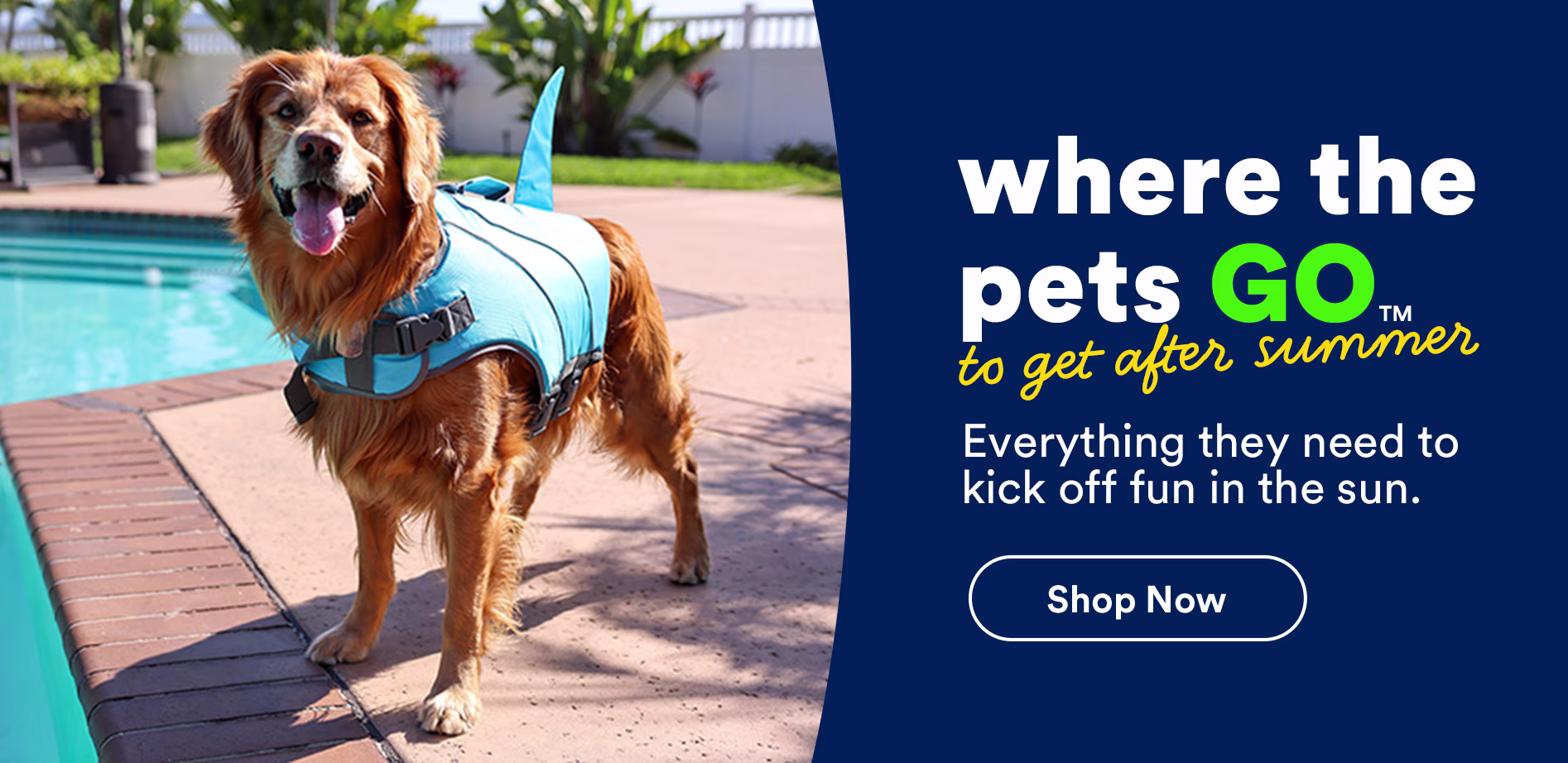 Where the pets go to get after summer. Everything they need to kick off fun in the sun. Shop now.