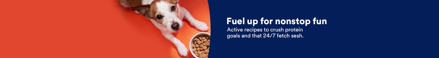 Fuel up for nonstop fun. Active recipes to crush protein goals and that 24/7 fetch sesh.