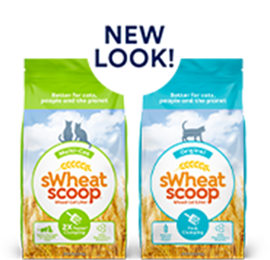 sWheat Scoop Petco