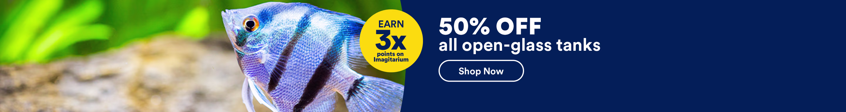 Earn 3x points on Imagitarium. 50% OFF all open-glass tanks. Shop Now. Ends 8/29/26. Exclusions apply.