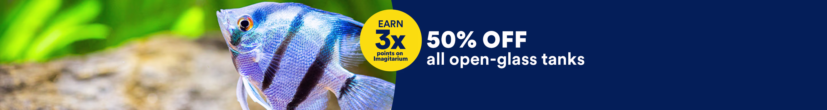 Earn 3x points on Imagitarium. 50% OFF all open-glass tanks. Ends 8/29/26. Exclusions apply.