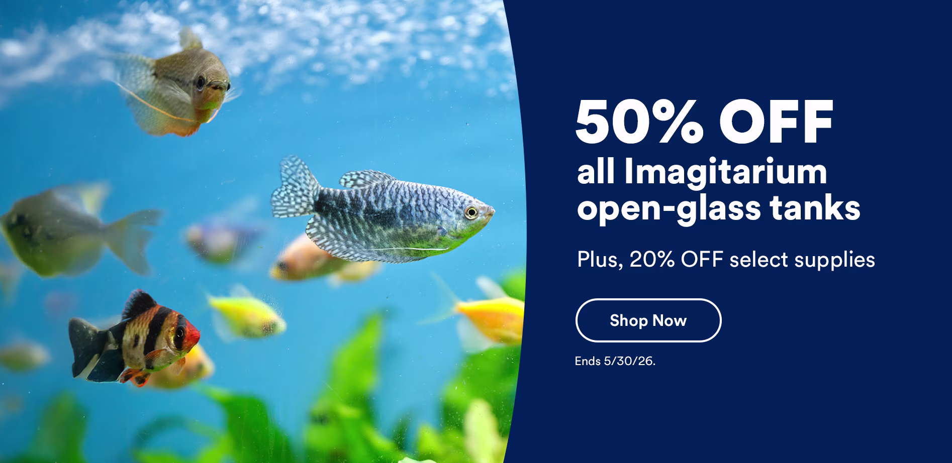 50% off all Imagitarium open-glass tanks. Plus, 20% OFF select supplies. Shop now. Ends 5/30/26.