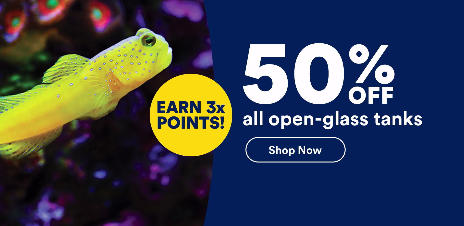 50% off all open-glass tanks. Earn 3x points! Shop now. Ends 8/1/26. Exclusions apply.