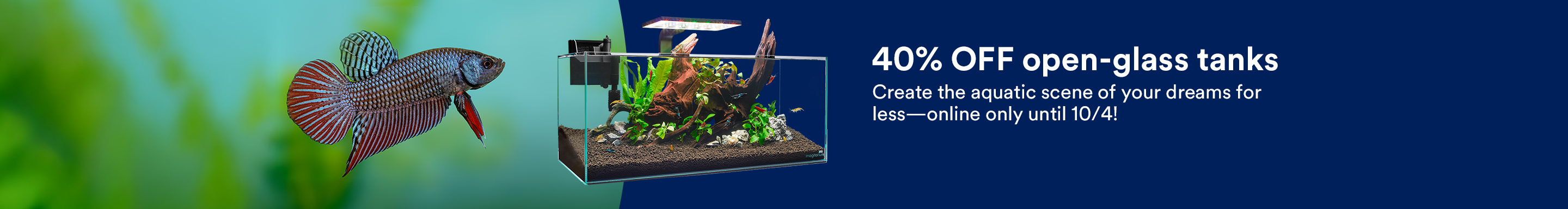 40% OFF open-glass tanks. Create the aquatic scene of your dreams for less—online only until 10/4! Online only. Price may vary in store.