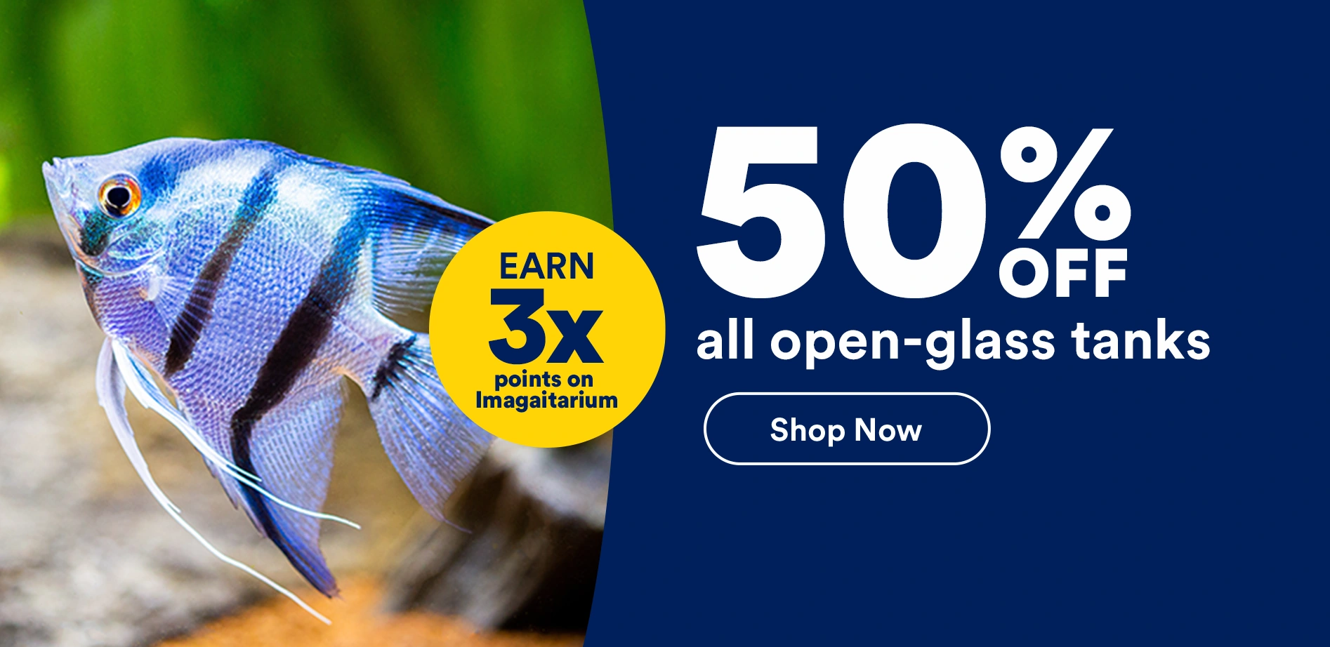 50% off all open-glass tanks. Earn 3x points on Imagitarium. Shop now.