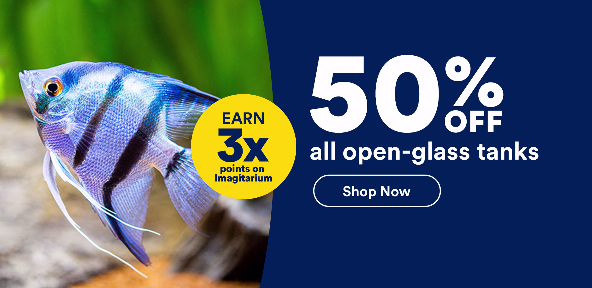 50% off all open-glass tanks. Earn 3x points on Imagitarium. Shop now.
