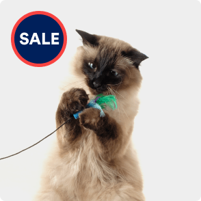Overstock Clearance for Cats, On Sale