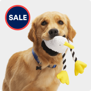 https://assets.petco.com/petco/image/upload/f_auto,q_auto:best/top-deals-module_dog-deals-carousel_toys.png