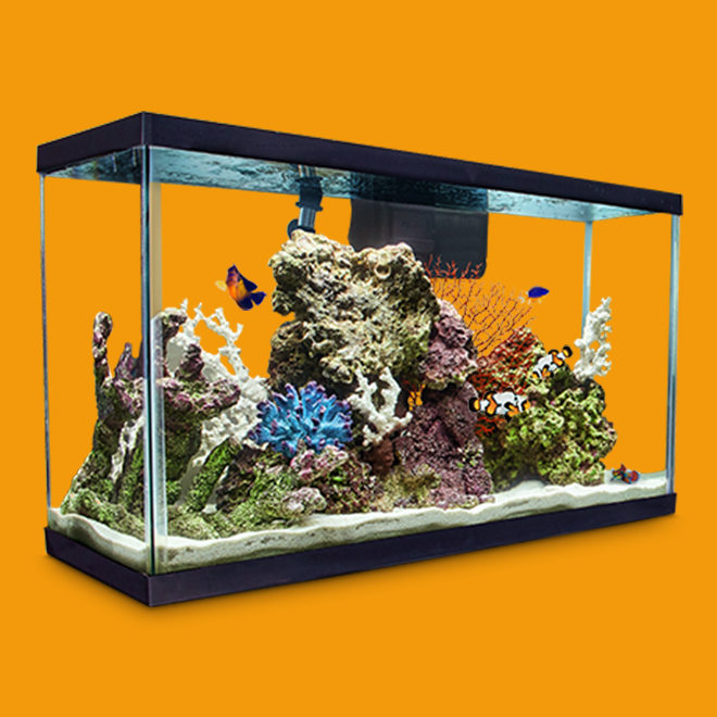 Discount Pet Supplies Petco Sales Ad & Top Deals Petco Page 40