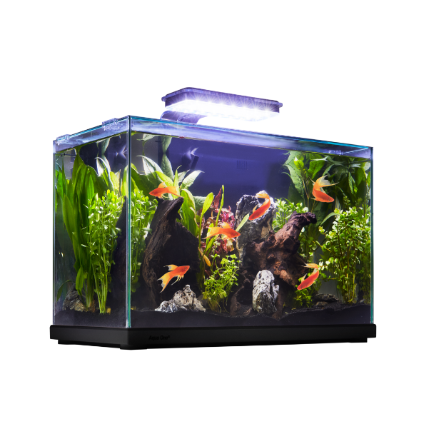 Discount Pet Supplies Petco Sales Ad & Top Deals Petco