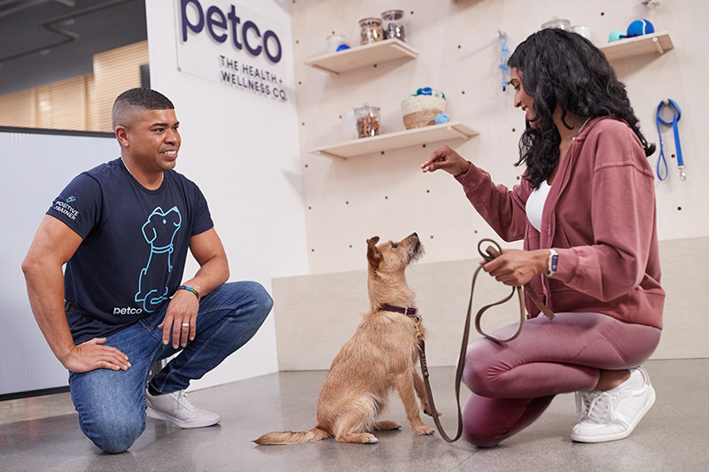 Petco cheap dog obedience