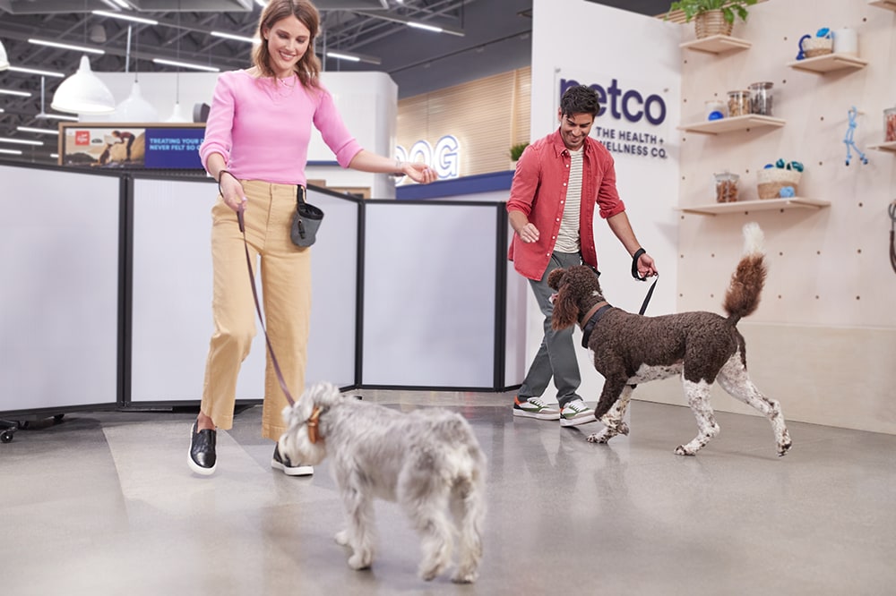 Petco Dog Trainer Petsmart Training Classes Price Dog Training
