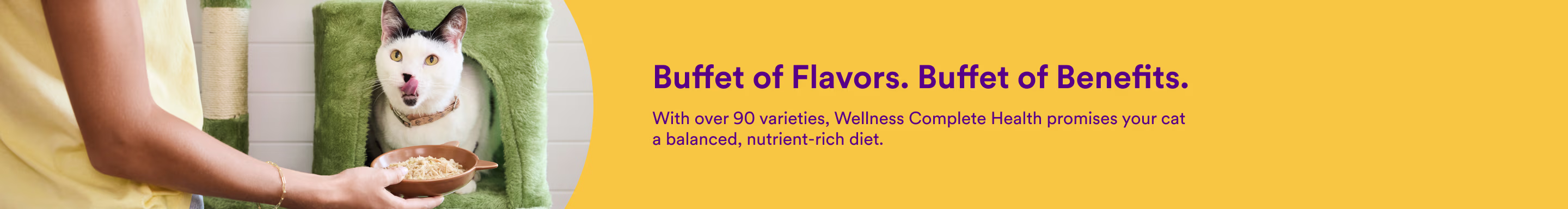 Buffet of Flavors. Buffet of Benefits. With over 90 varieties, Wellness Complete Health promises your cat a balanced, nutrient-rich diet.