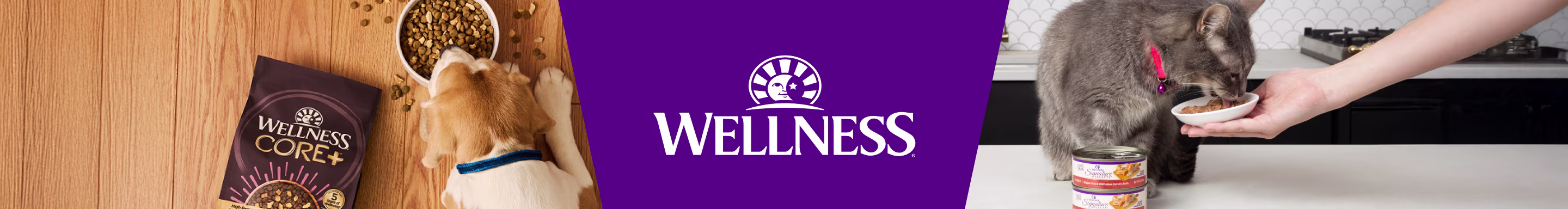 Wellness.