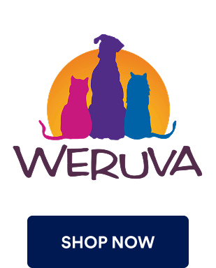 Grow happy, grow healthy. Specifically formulated to meet the needs of growing kittens. Shop now.