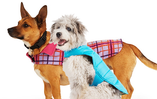 Dog Clothes, Shoes, Apparel & Accessories