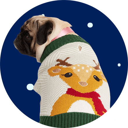 Dog Boutique for Dog Clothes and Designer Accessories