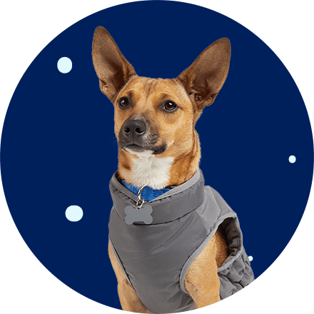 Black Rainbow Designer Dog Vest