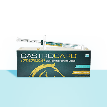 Horse Gastrointestinal and Digestive