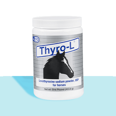 Horse Thyroid and Hormone