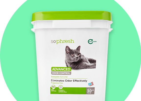 everclean cat litter 42 lb