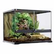 Reptile Tanks: Terrariums, Enclosures & Cages | Petco