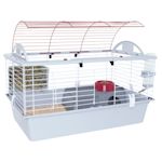 Petco bunny supplies hotsell