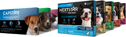 Petco capstar 2024