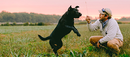 Petco sales spot farms