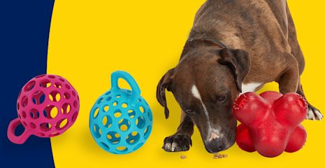 Petco: Pet Supplies, Pet Food, & Pet Products