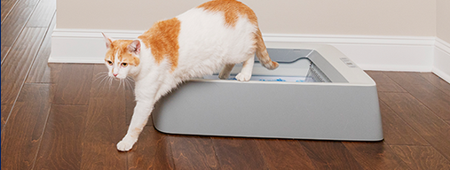 ScoopFree by PetSafe Smart Self-Cleaning Cat Litter Box