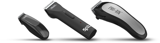 Petco shop wahl clippers