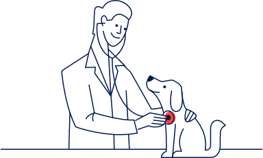 petco teeth brushing