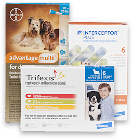 Interceptor Plus Chewables for Dogs 50 to 100 lbs, 6 Month Supply | Petco