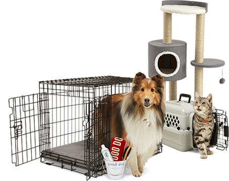 puppy products online