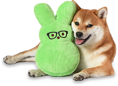 Dog laying down with green rabbit shaped dog toy