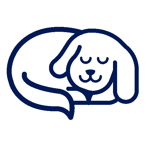 Best Dog Shampoo for Allergies & Itchy Dry Skin 10 TopSellers Petco