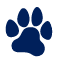 paw size