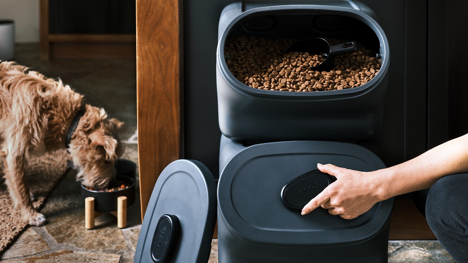 How to Store Your Dog’s Food