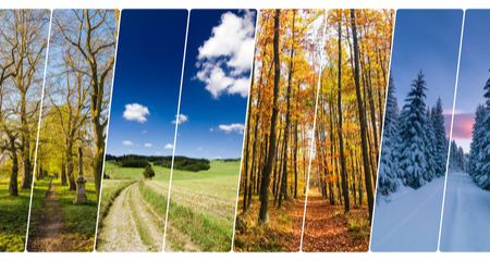 Preventives Are Only Needed During Warm Months