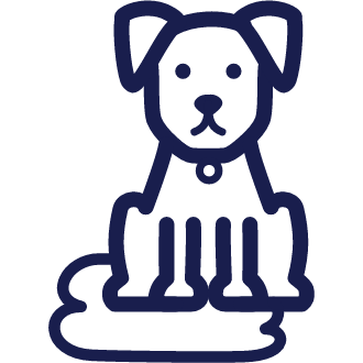 petco dog training classes cost